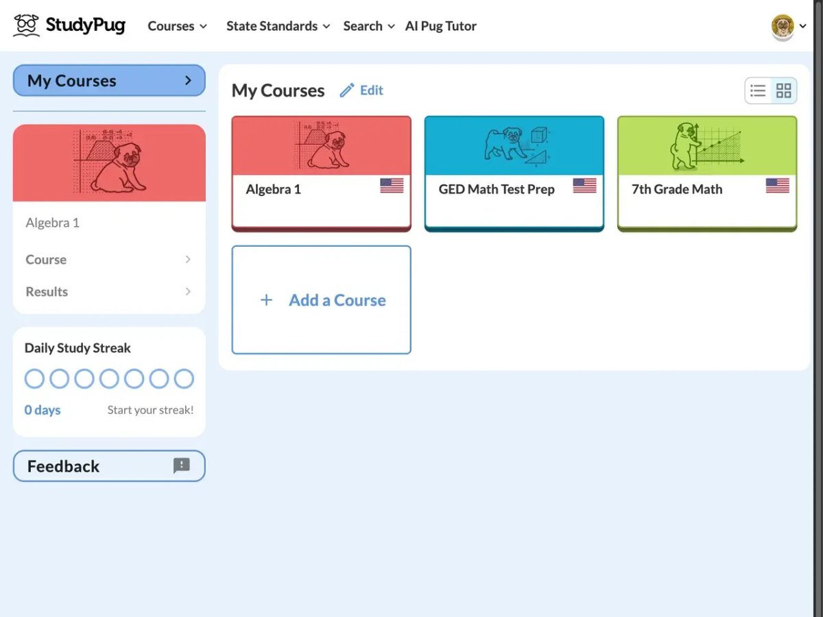 usage insights dashboard
