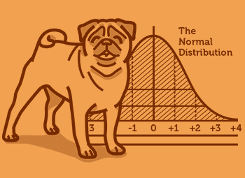 Statistics course hero image