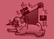 Physics course