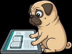 Understanding the number systems – Read Material