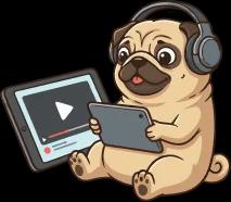 Understanding the number systems – Watch Video