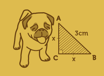 First Year Maths Image