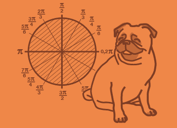 Sixth Year Maths course hero image