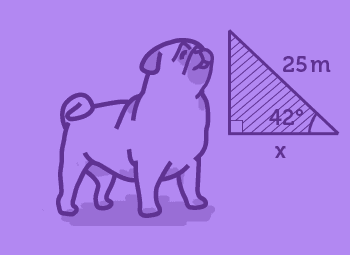 AS-Level Maths (Legacy) Image