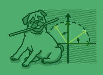 Linear Algebra Image